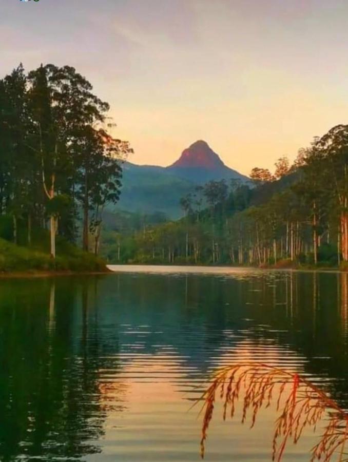 Punsisi Resort - Adam'S Peak Nallathanniya Eksteriør billede